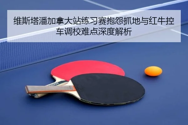 wei-si-ta-pan-jia-na-da-zhan-lian-xi-sai-bao-yuan-zhua-di-yu-hong-niu-kong-che-diao-xiao-nan-dian-shen-du-jie-xi-2-597.jpg