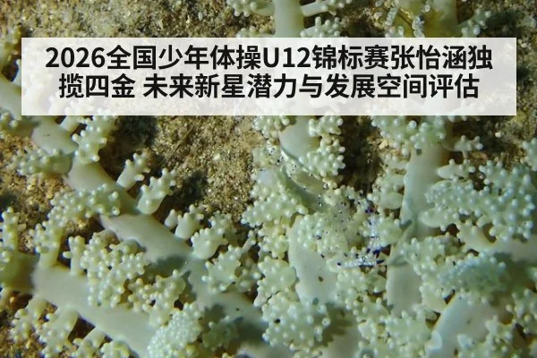 2026全国少年体操U12锦标赛张怡涵独揽四金 未来新星潜力与发展空间评估