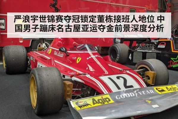 严浪宇世锦赛夺冠锁定董栋接班人地位 中国男子蹦床名古屋亚运夺金前景深度分析