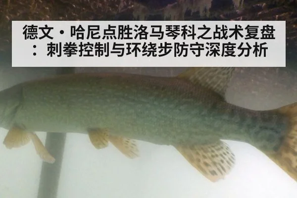 德文·哈尼点胜洛马琴科之战术复盘：刺拳控制与环绕步防守深度分析