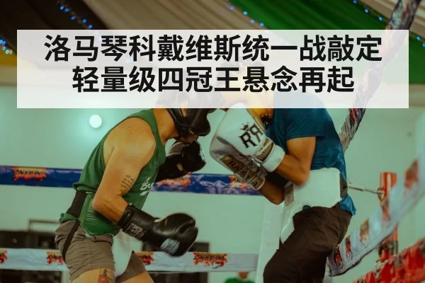 洛马琴科戴维斯统一战敲定 轻量级四冠王悬念再起